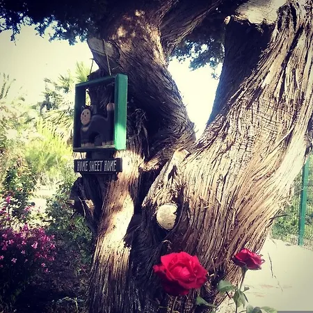 Dalyan Kucuk Ev Butik * Çeşme