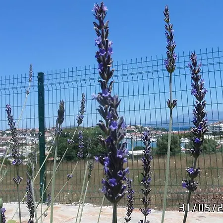 Bed and Breakfast Dalyan Kucuk Ev Butik