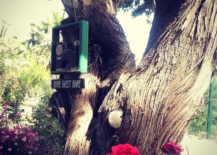 Dalyan Kucuk Ev Butik * Çeşme