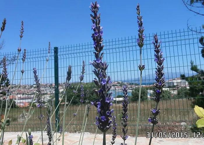 Alojamento de Acomodação e Pequeno-almoço Dalyan Kucuk Ev Butik